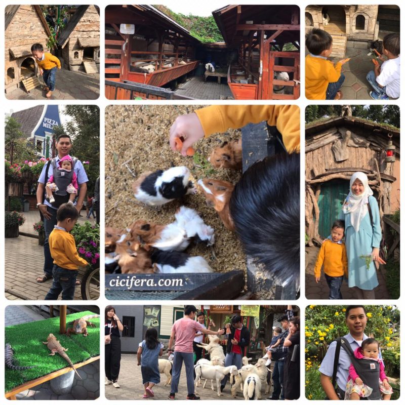 Liburan Singkat ke Farm House Lembang dan Menginap di Hotel Bintang 4 Terbaik Kota Bandung