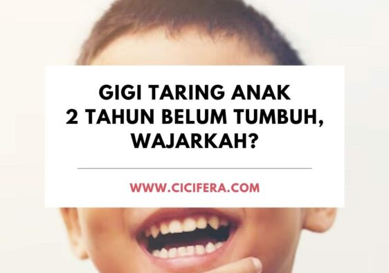 Gigi Taring Anak 2 Tahun Belum Tumbuh, Wajarkah? Gigi Taring Bawah Tumbuh Anak 2 Tahun