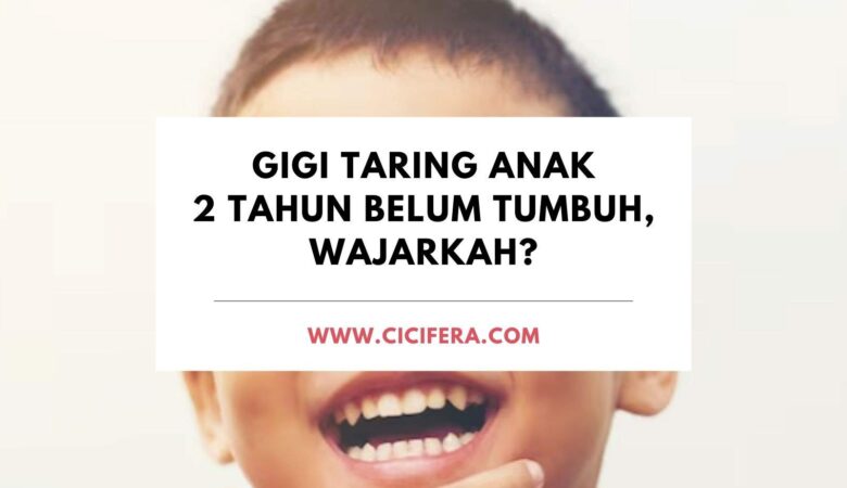 Gigi Taring Bawah Tumbuh Anak 2 Tahun