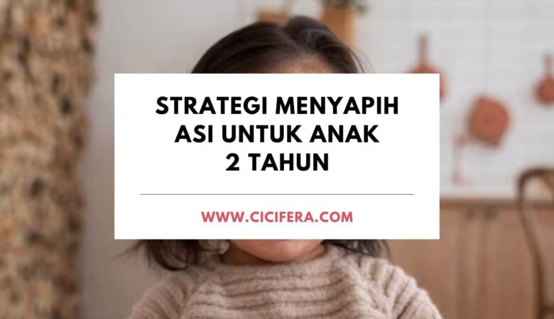 Strategi Menyapih ASI Untuk Anak 2 Tahun